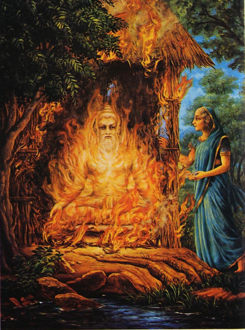 Дхритараштра сгорает в пламени