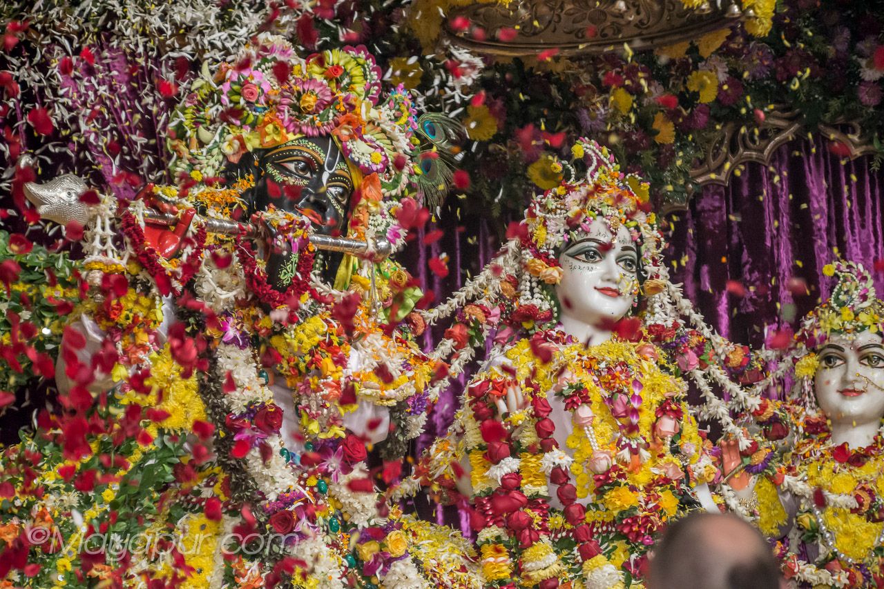 Beautiful Pushpa Abhishek in Mayapur 03