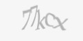 Защитный код