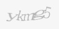 Защитный код