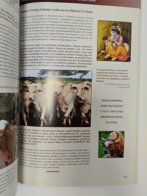 Ведический историко-философский альманах "Мать"