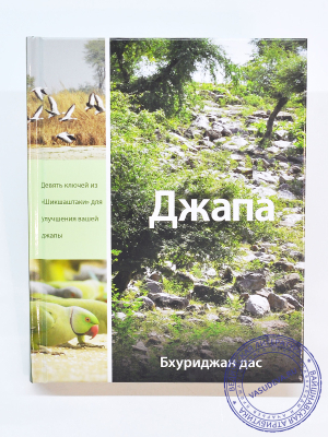 Бхуриджан дас - Джапа