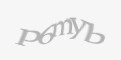 Защитный код