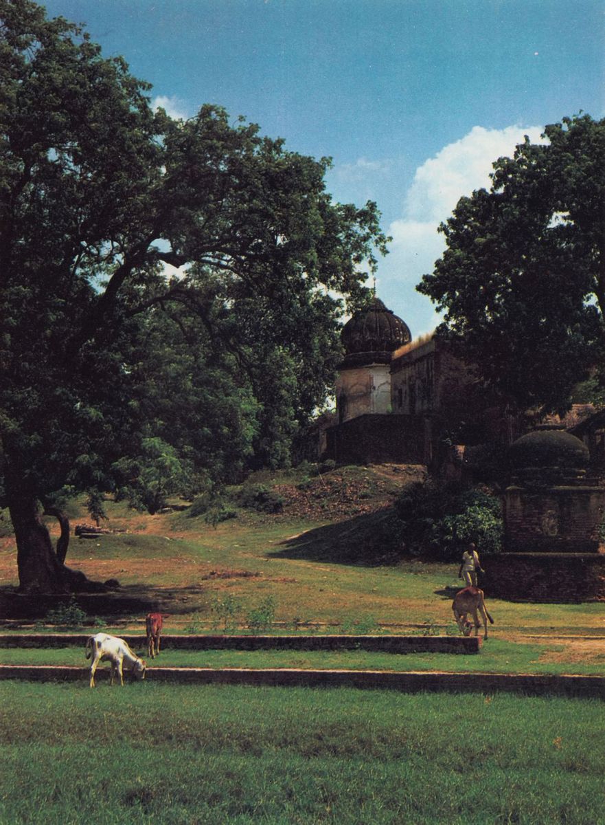 Лес Наимишаранйи, где великий мудрец Сута Госвами говорил Шримад-Бхагаватам