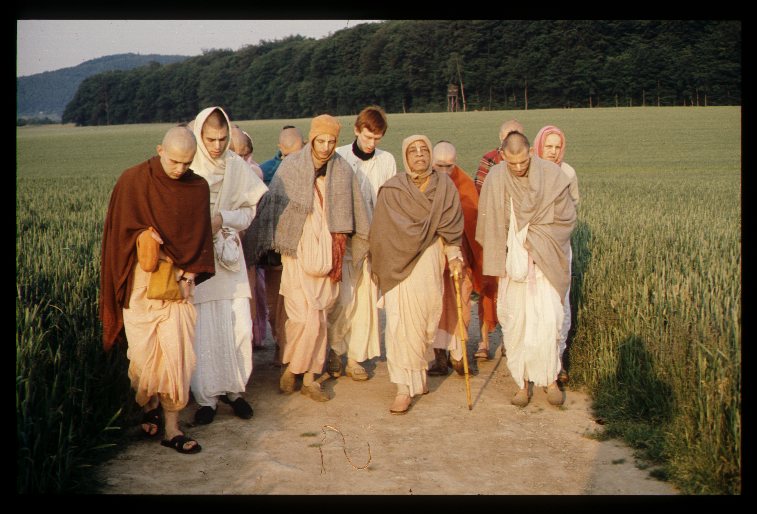 Прабхупада с учениками в полях