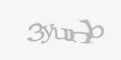 Защитный код