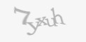 Защитный код