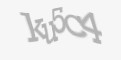Защитный код