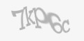 Защитный код