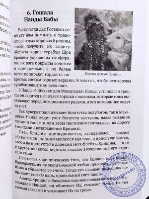 Бхакти Гамья деви даси - Этот удивительно сладостный Вриндаван дал нам только Шрила Прабхупада: Кн. 4