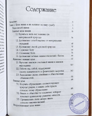 О.Г. Торсунов - Развитие разума. 2 том
