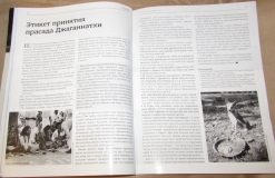 Шри Кришна-катхамрита. 14: Слава маха-прасада