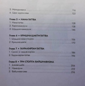 Аиндра дас -  Шри Нама Прачарана. Внутренняя суть проповеднической миссии