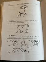 Виман-парибхаша (Обзор храмов) (Упасана-коша, том 18)